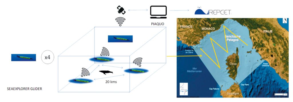 Cartographie dynamique de la sensibilité de l'écosystème marin au bruit de la navigation sous-marine